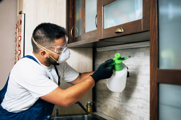 Best Pest Control Near Me in Ridgebury, CT