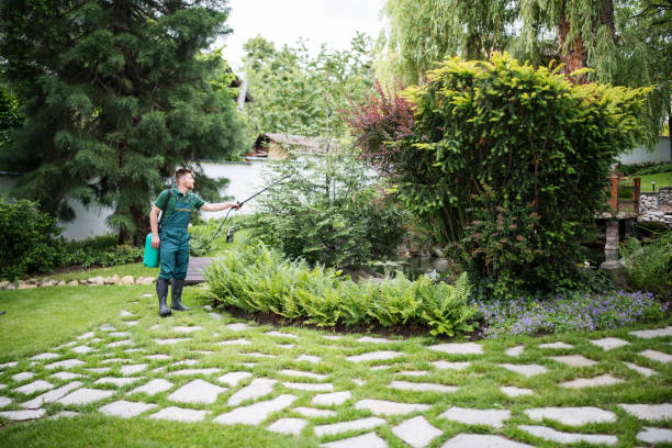 Best Wildlife Control Services  in Ridgebury, CT