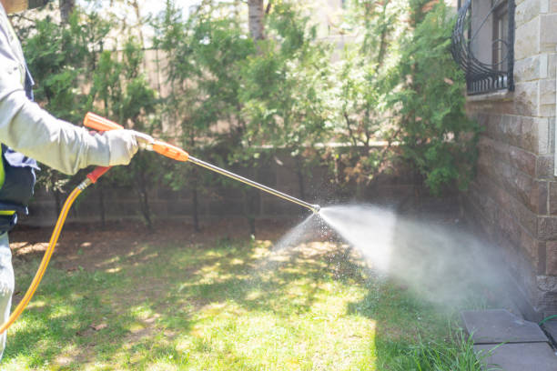 Best Commercial Pest Control Services  in Ridgebury, CT