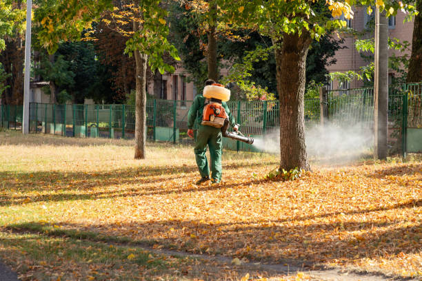Best Pest Removal Services  in Ridgebury, CT