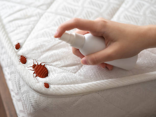 Best Pest Inspection Near Me  in Ridgebury, CT