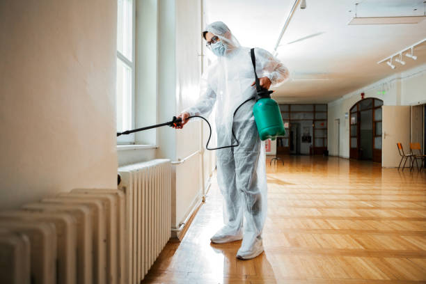Best Mosquito Control Services  in Ridgebury, CT